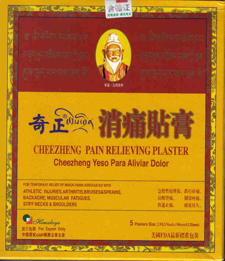 Cheezheng Pain Relieving Plaster (5 Plasters-90 mm x 120 mm Each)